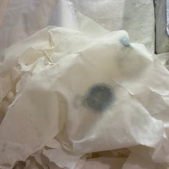 Nimet Taze Alınan Yufkaların Küflenmesi Hayal Kırıklığı Yarattı