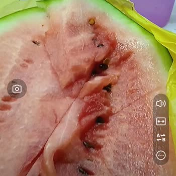 Şok Marketler 3 Adet Siparişim Ve De 3 Karpuzunda Bozuk Gelmesi.