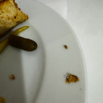 Maydanoz Döner Den Sipariş Verilen Dürüm Den Zımba Teli Çıktı