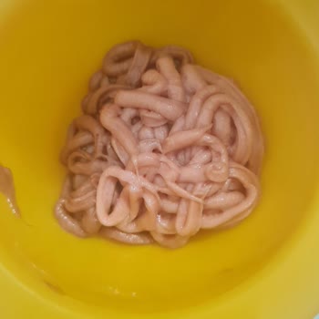 Neva Kozmetik Aynı Rek Kodu Farklı Tonda Ürün