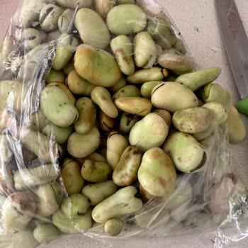 Doğal File Müşteri Deneyimi: Çürük Baklalar Ve İletişim Eksikliği