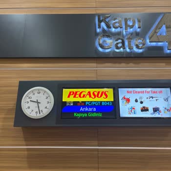 Pegasus Rötarlı Uçuşları Hakkında