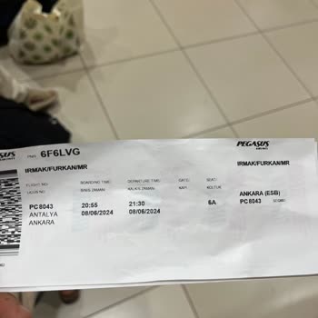 Pegasus Rötarlı Uçuşları Hakkında