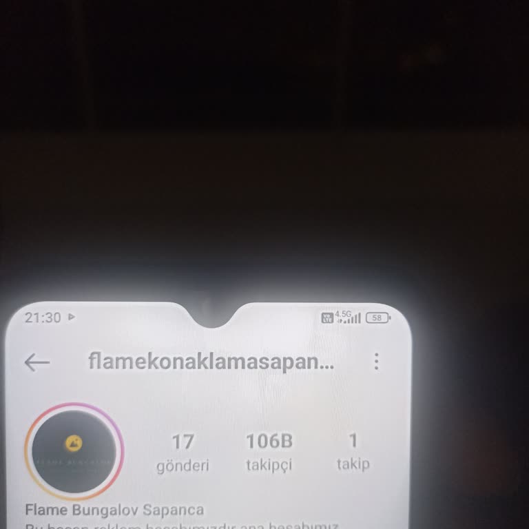 Flame Bungalov Sapanca Sayfasında Yalan Beyanda Bulunup Aradığımızda Engelliyor