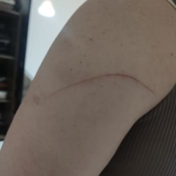 LCW Yenikent Şubesi