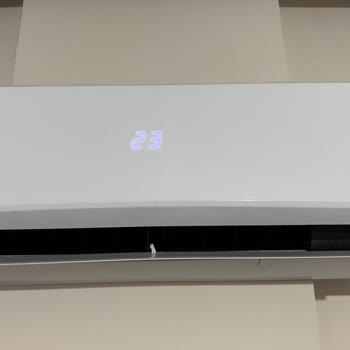 Vestel Flora Doğa İnverter 092 9000 BTU Wi-Fi Klima Aşırı Ses Yapıyor