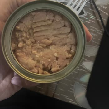 Dardanel Ton Balığında Beyaz Nokta Gibi Şeyler Var