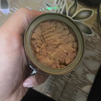 Dardanel Ton Balığında Beyaz Nokta Gibi Şeyler Var