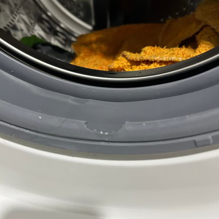 Samsung Çamaşır Makinesi Plastik Parçalanma Sorunu