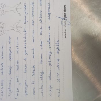 Happyvet Veteriner Kliniği (Ankara) Veteriner Kliniğinden Şikayet Durumu