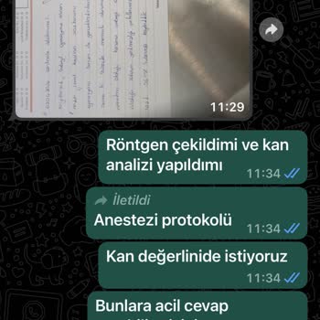 Happyvet Veteriner Kliniği (Ankara) Veteriner Kliniğinden Şikayet Durumu