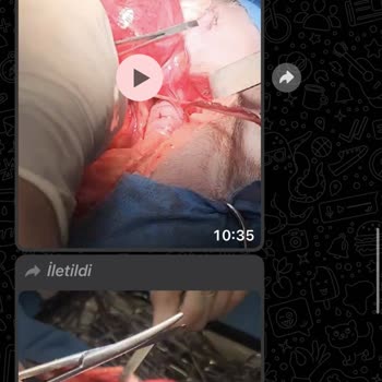 Happyvet Veteriner Kliniği (Ankara) Veteriner Kliniğinden Şikayet Durumu