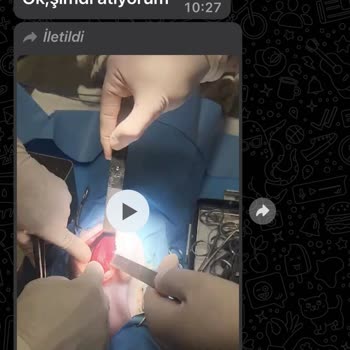 Happyvet Veteriner Kliniği (Ankara) Veteriner Kliniğinden Şikayet Durumu