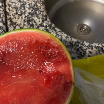 File Market Karpuzu Çürük Çıktı