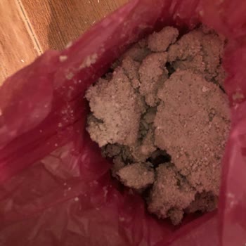 Petfor Kedi Kumu Kötü Kedi Kumu