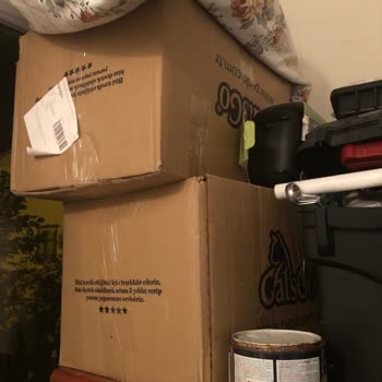 Petfor Kedi Kumu Kötü Kedi Kumu