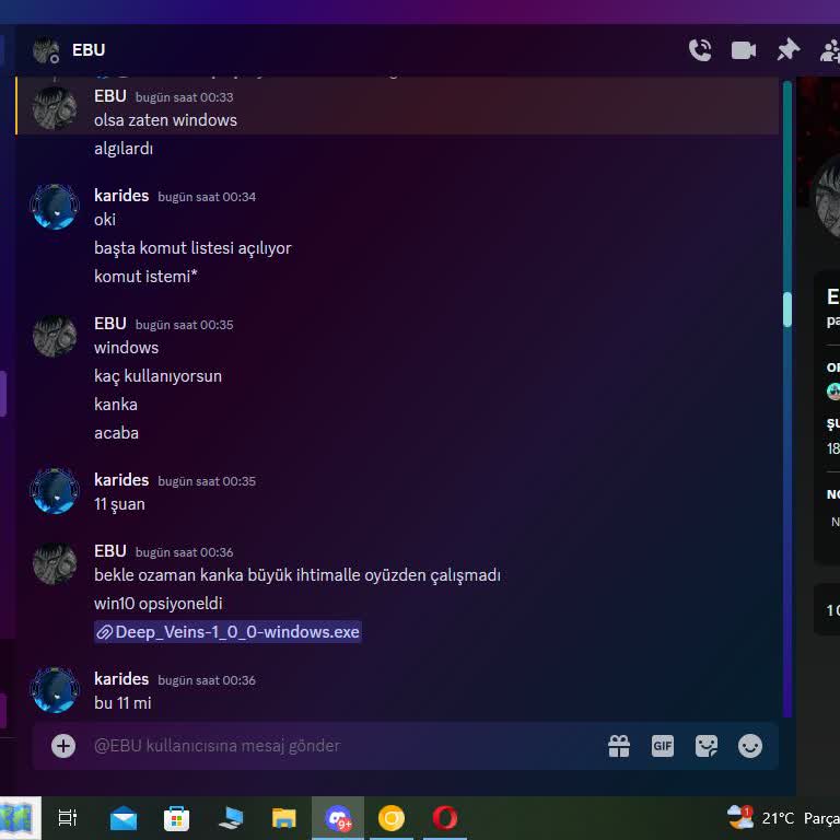 Discord.com Dosya İndirdim Ve Başıma Neler Geldi