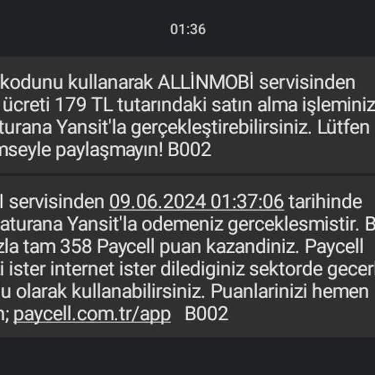 Vizyon Elektronik Para Allınmobi Adı Altında Faturama Fiyat Yansımıştır