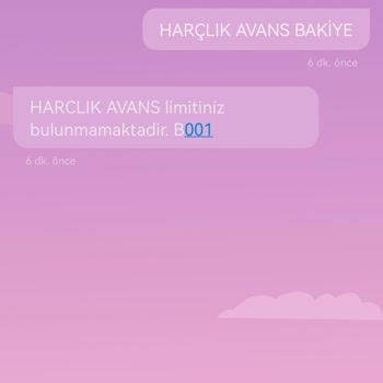 Ziraat Bankası Harçlık Avans Limitim Yetersiz Görünüyor