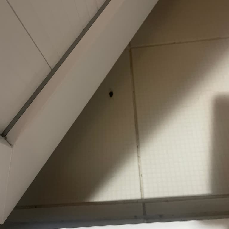 Assistpest İlaçlama Etki Etmedi!