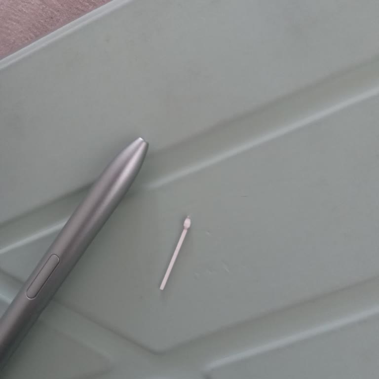 Trendyol Samsung Fe Tablet Kalem Ucu