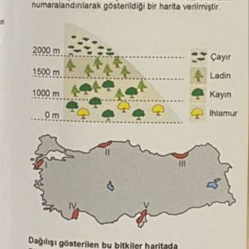 ÖSYM Başkanlığına Sesleniyorum Sesimizi Duyun!