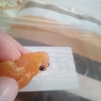 Çağrı Hipermarket Çağrı Marketten Aldığım Kuru Kayısı Dan Örümcek Çıktı.