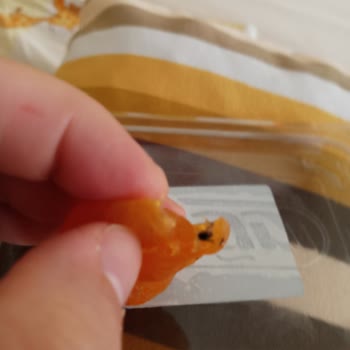 Çağrı Hipermarket Çağrı Marketten Aldığım Kuru Kayısı Dan Örümcek Çıktı.