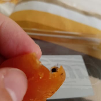 Çağrı Hipermarket Çağrı Marketten Aldığım Kuru Kayısı Dan Örümcek Çıktı.