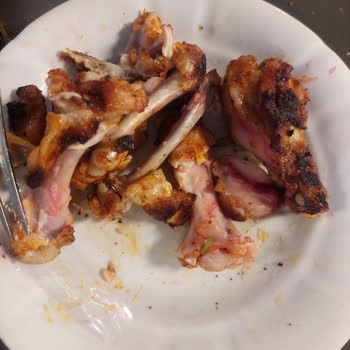 @Köfteci Yusuf Kanlı Tavuklar