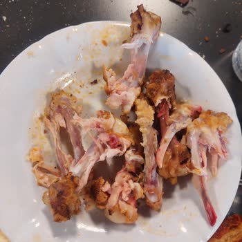 @Köfteci Yusuf Kanlı Tavuklar