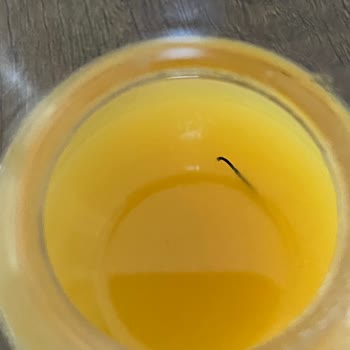 Dimes Şeftali Suyundan Çıkan Şey