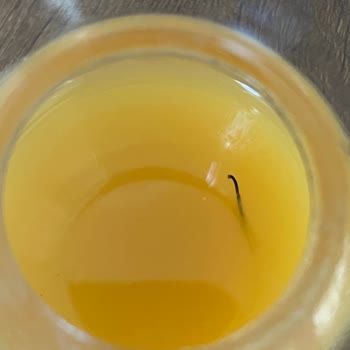 Dimes Şeftali Suyundan Çıkan Şey