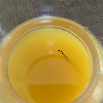 Dimes Şeftali Suyundan Çıkan Şey