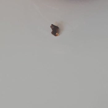 Tukaş Kahvaltılık Sosunda Ceviz Kabuğu Çıktı