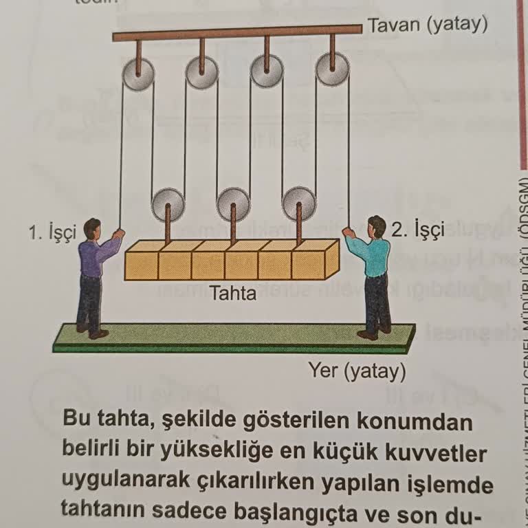 Milli Eğitim Bakanlığı (MEB) 2024 LGS Fen Bilimleri A Kitapçığı 13. Soru