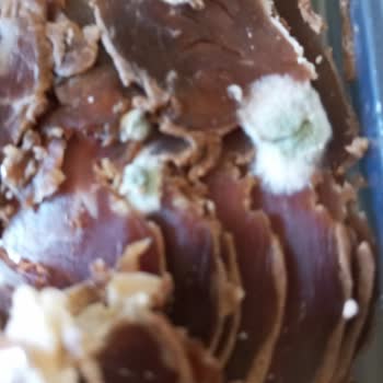 Sultan Et ve Gıda Pastırma Kalitesi Ve Beklentiler