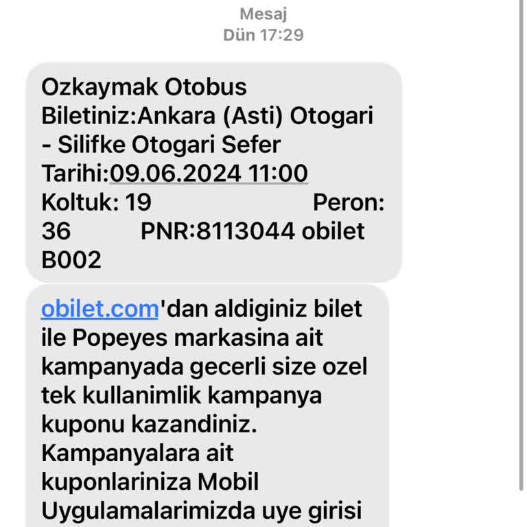Özkaymak Turizm Bagaj Parası Nakit İstedi