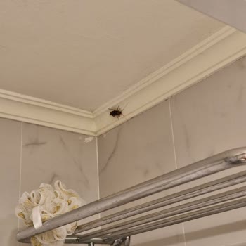 Selectum Colours Bodrum Otel