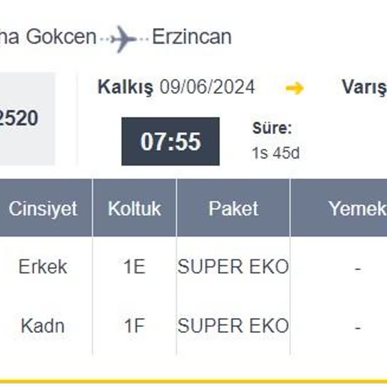 Pegasus, Engelli Felçli Yolcusuna Yardımcı Olmadı