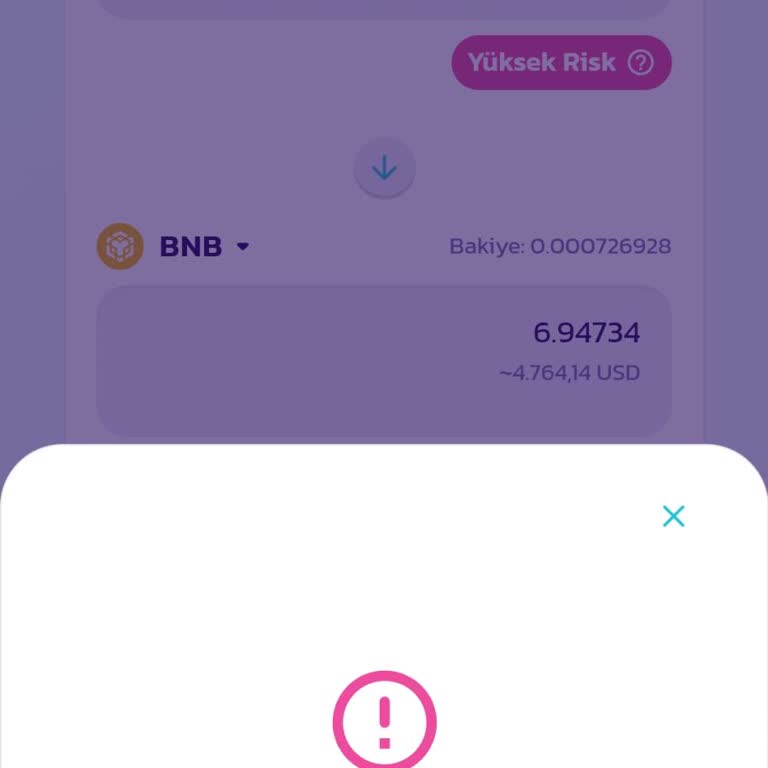 Coin Pancakeswap Satış Hatası