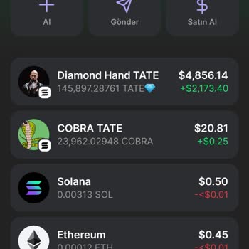 Phantom Wallet Diamond Hand Tate