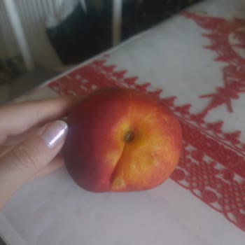 Migros Yanlış Ürün Teslimatı Ve İlgisizlik