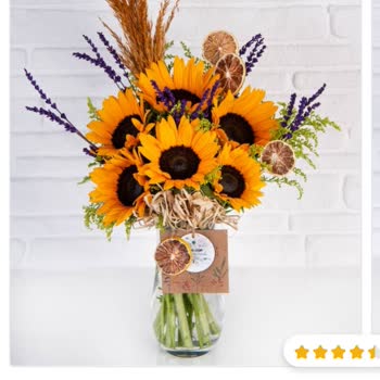 Çiçek Sepeti Şikayet