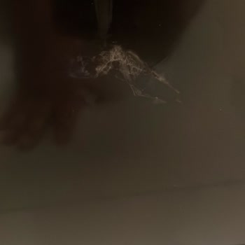 Modes Mobilya Şikayeti