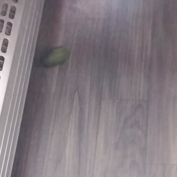 En Uygun Midyat Güneydoğu Seyahat Bilet Sorunu