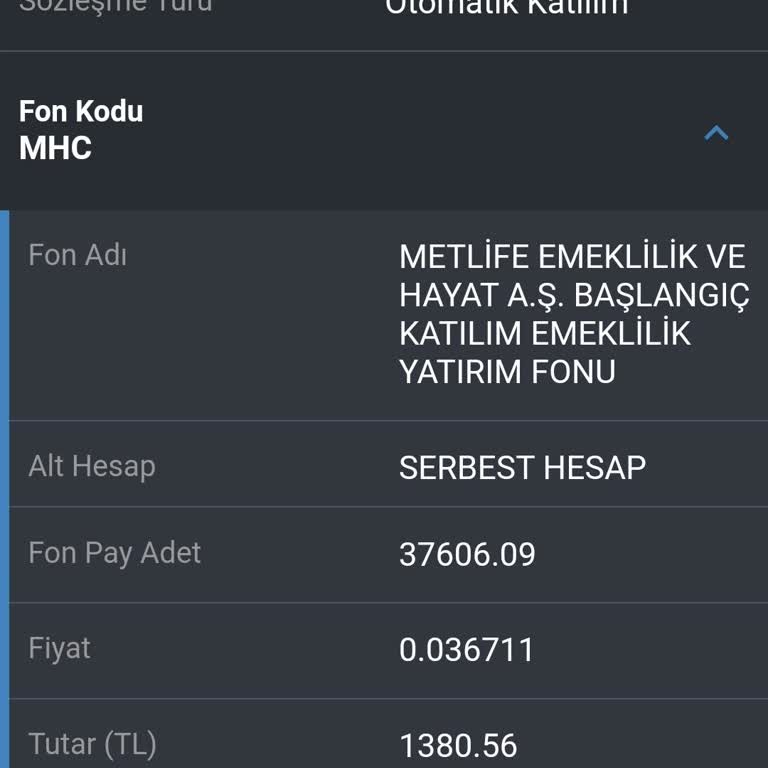 Metlife Emeklilik ve Hayat BES İptali Yapamıyorum Ve Müşteri Hizmetleri Yanıt Vermeyip Kapatıyor