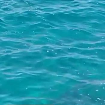 Kaş Belediyesi Deniz Kirliliği Ve Kanalizasyon Sızıntısı