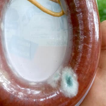 Şahin Sucukları Markalı Sucukta Küflenme Problemi