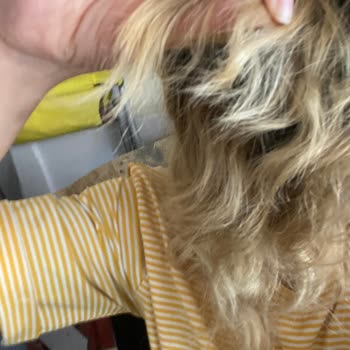 San Kuaför Maltepe Saçımı Kopardı